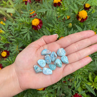 Larimar Tamboreada